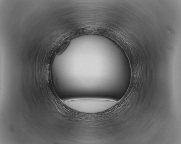 X0000113260868200909101248
