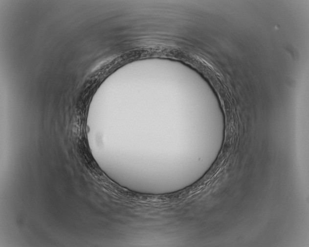 X0000113260869200909101248