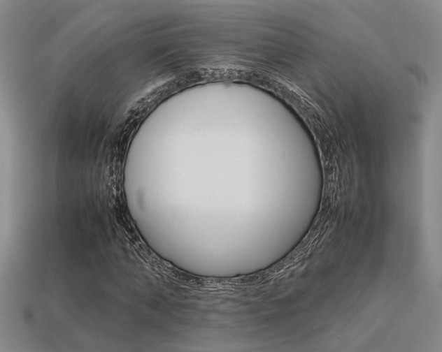 X0000113260870200909101248