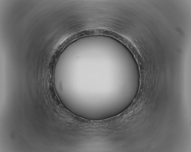 X0000113260871200909101248