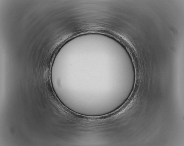 X0000113260873200909101248