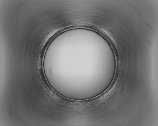 X0000113260875200909101248