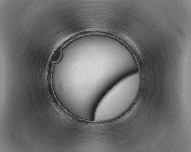 X0000113260876200909101248