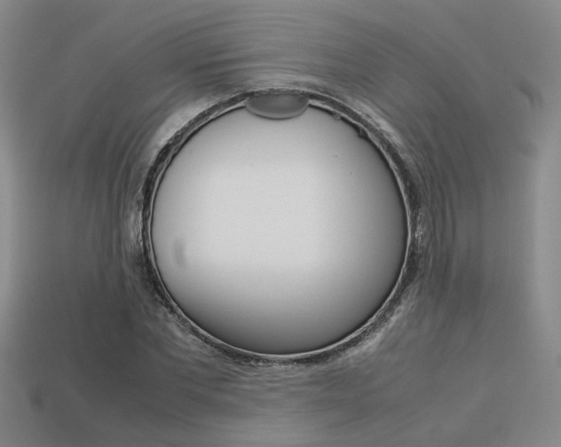 X0000113260877200909101248