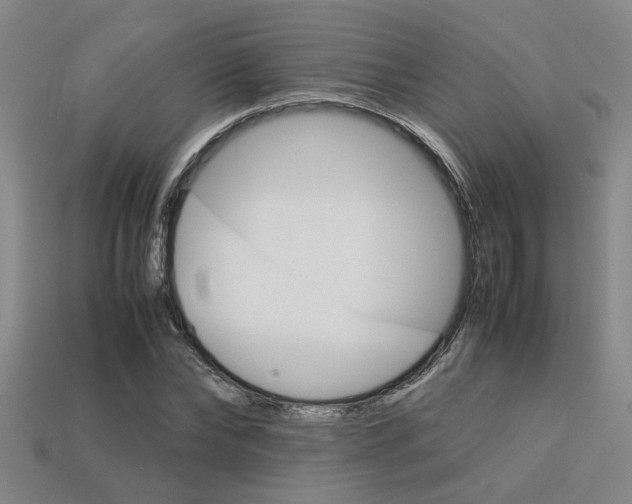 X0000113260878200909101248