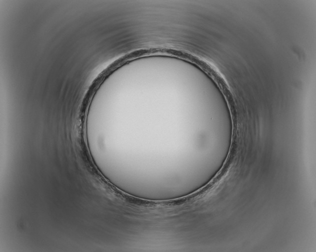 X0000113260879200909101248