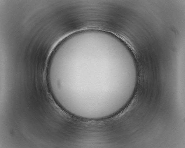 X0000113260880200909101248
