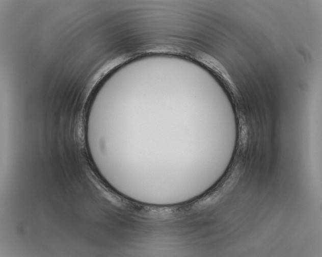 X0000113260882200909101248