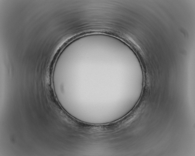 X0000113260883200909101248