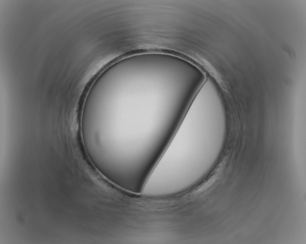 X0000113260885200909101248