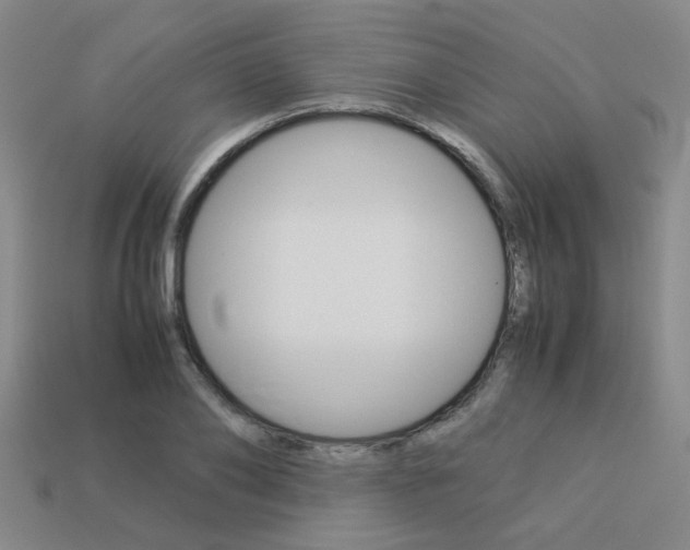 X0000113260886200909101248