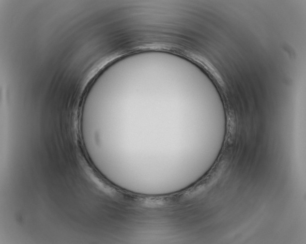X0000113260890200909101247
