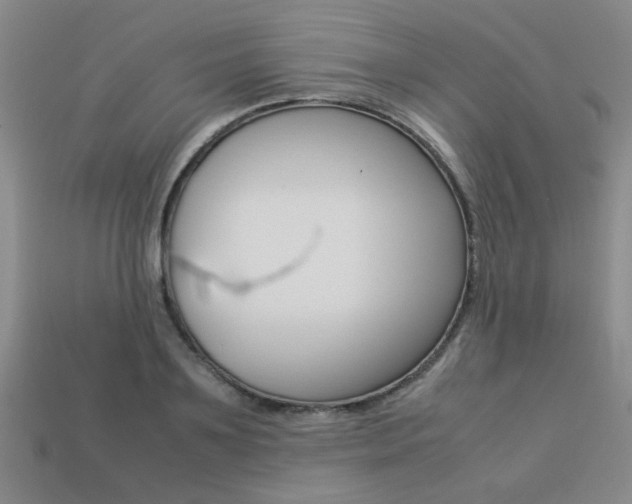 X0000113260891200909101247