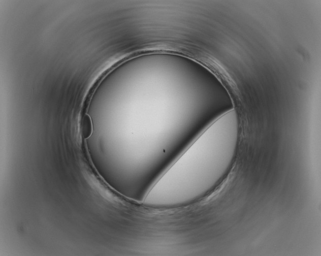 X0000113260892200909101247