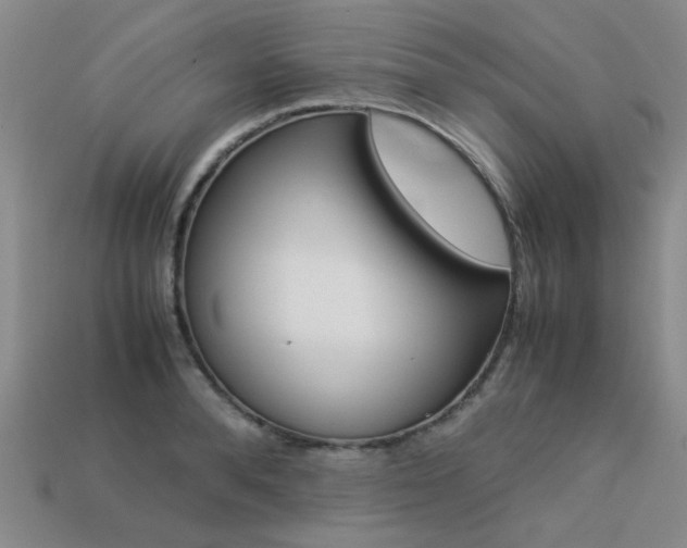 X0000113260896200909101247