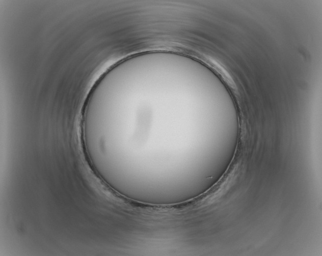 X0000113260899200909101247