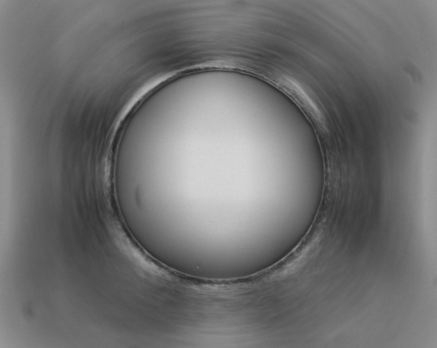 X0000113260900200909101247
