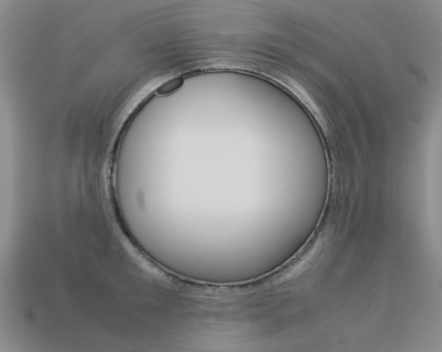 X0000113260901200909101247