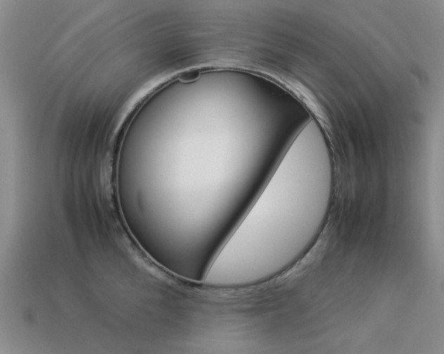 X0000113260904200909101247