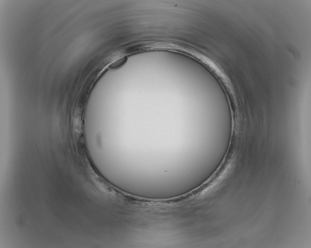 X0000113260905200909101247