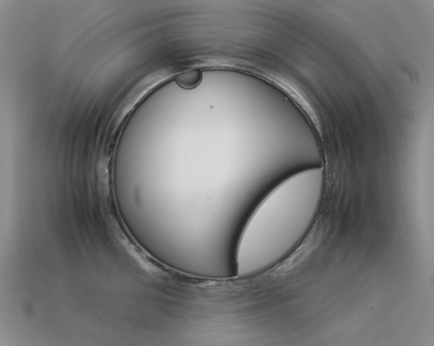 X0000113260906200909101247