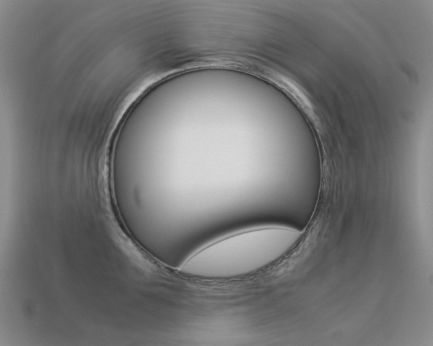 X0000113260907200909101247