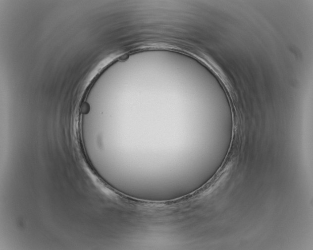 X0000113260909200909101247