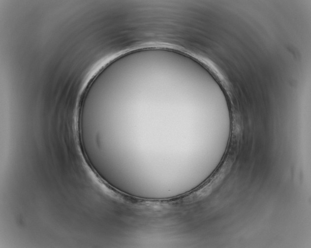 X0000113260910200909101247