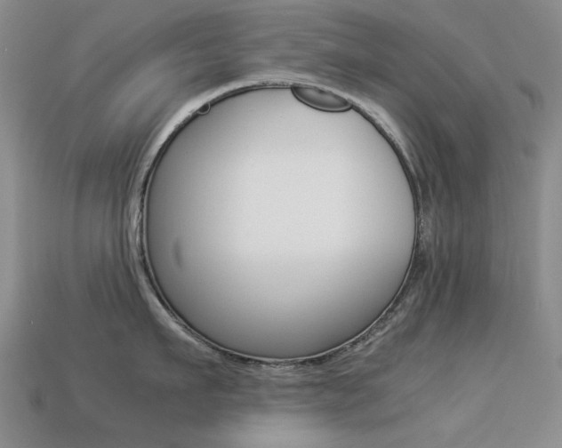 X0000113260911200909101247