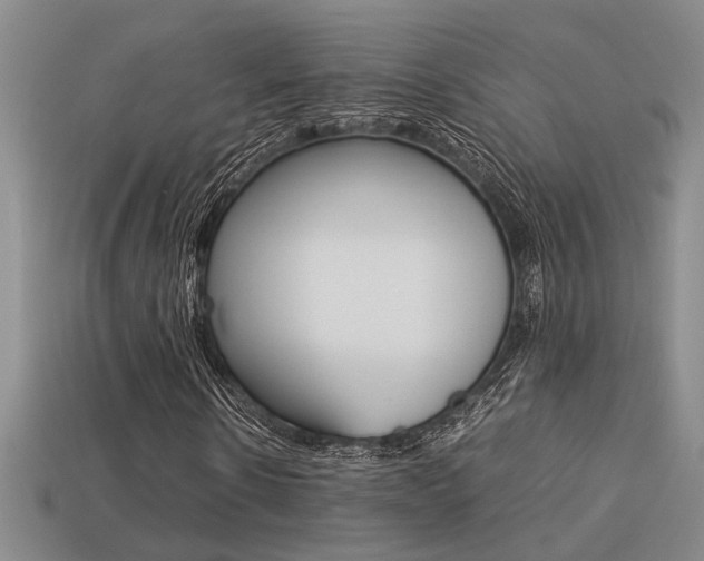 X0000113260914200909101247