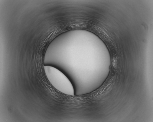 X0000113260915200909101247