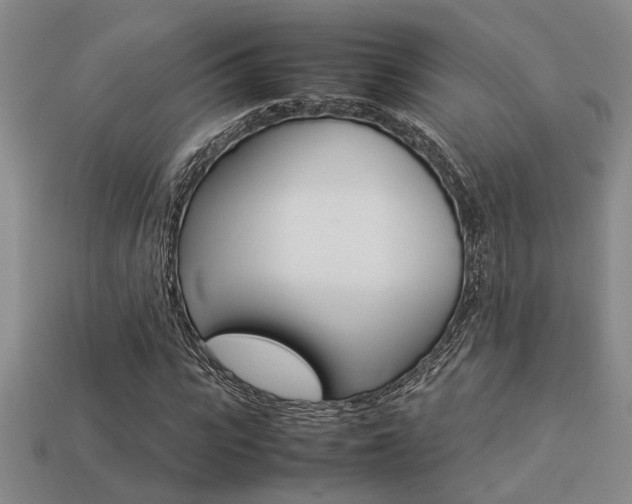 X0000113260919200909101247