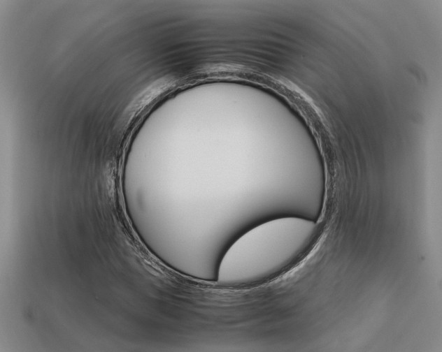 X0000113260921200909101247