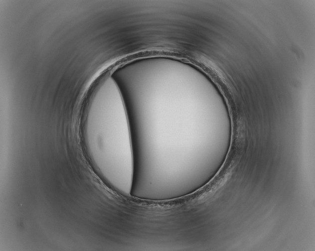 X0000113260923200909101247