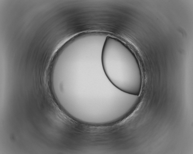 X0000113260925200909101247