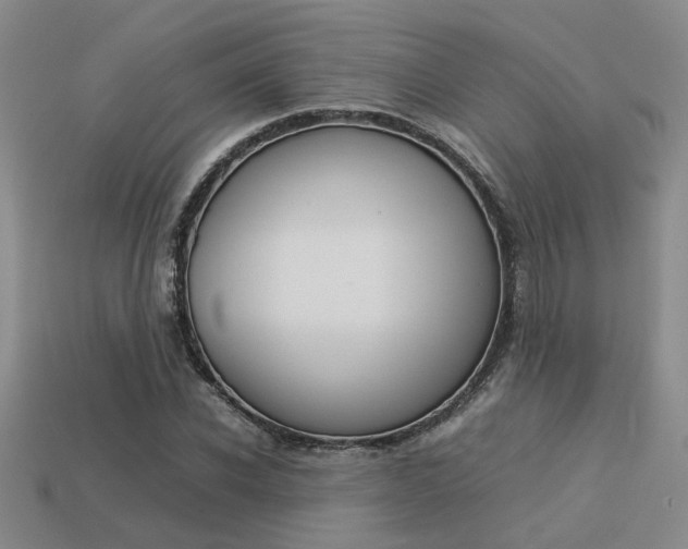 X0000113260926200909101247