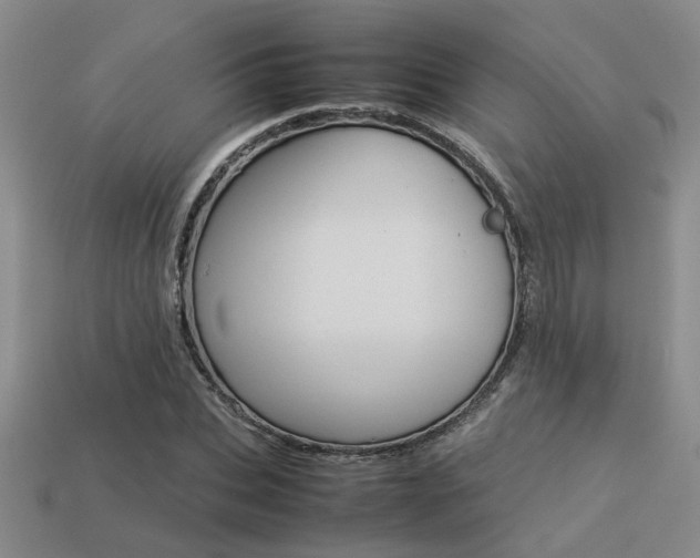 X0000113260927200909101247