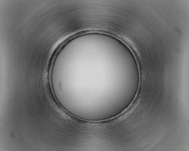 X0000113260928200909101247