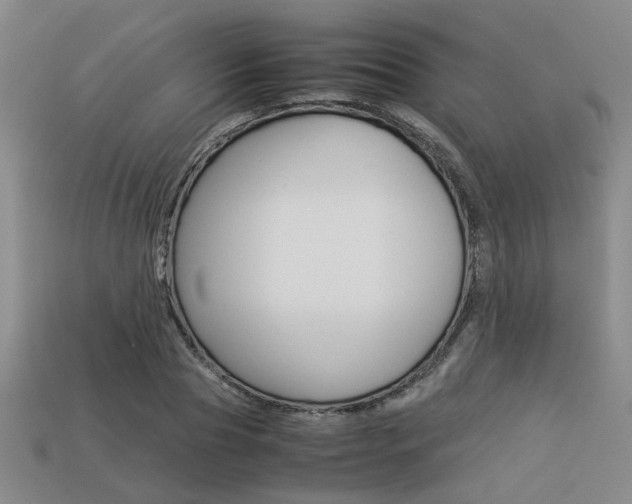 X0000113260929200909101247