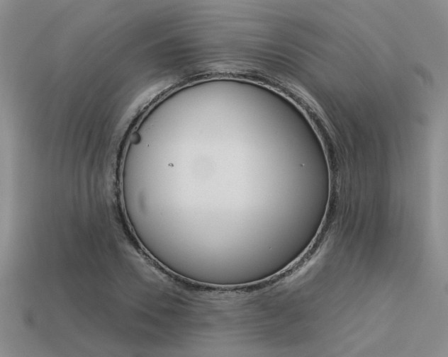 X0000113260930200909101247
