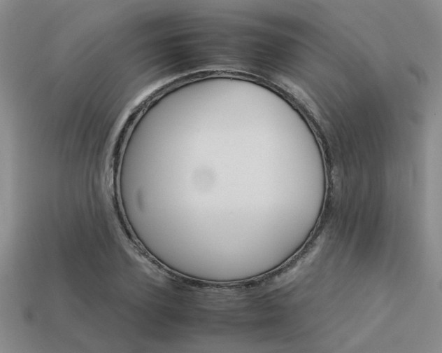 X0000113260931200909101247