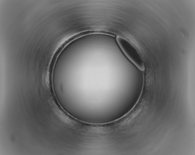 X0000113260932200909101247
