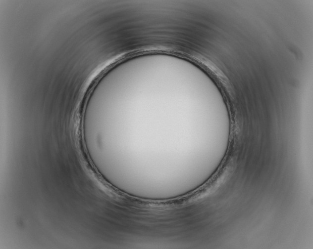 X0000113260933200909101247