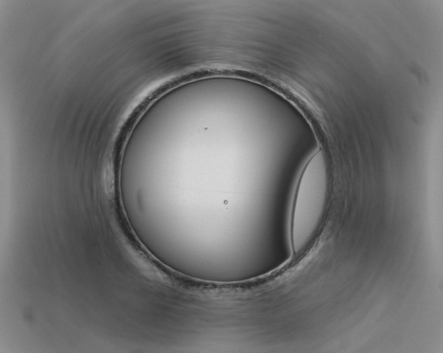 X0000113260934200909101247