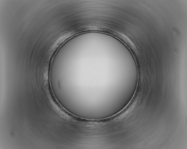 X0000113260938200909101247