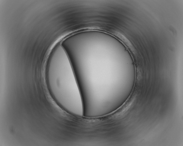 X0000113260939200909101247