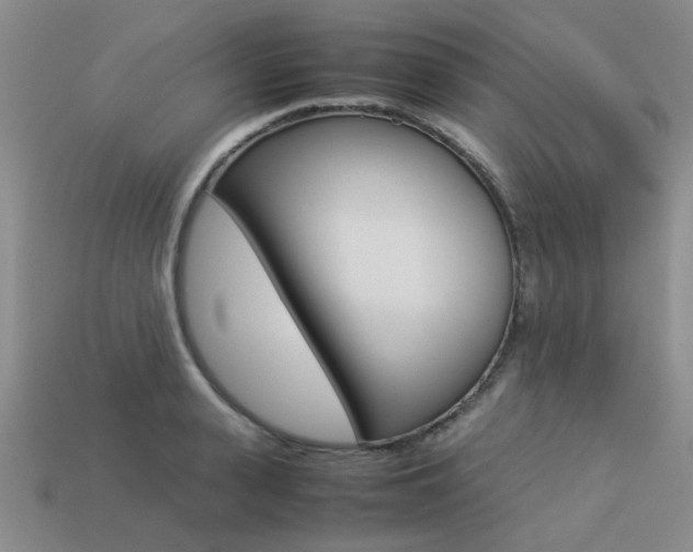X0000113260943200909101247