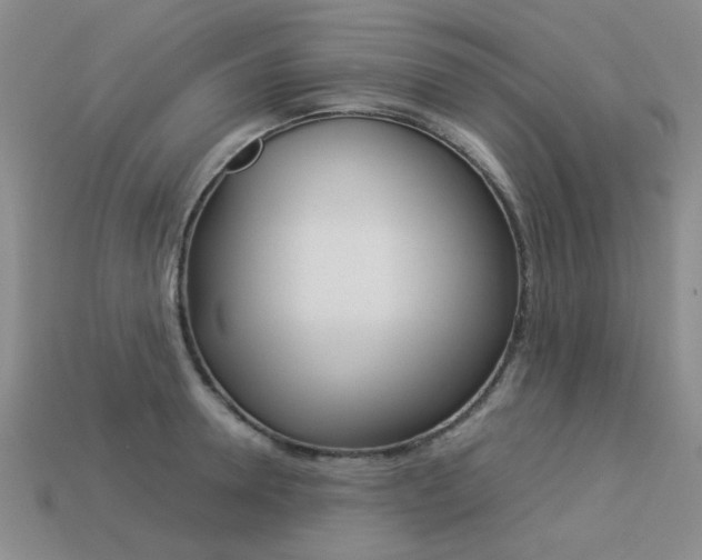 X0000113260946200909101247