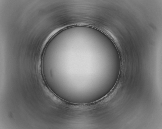 X0000113260948200909101247