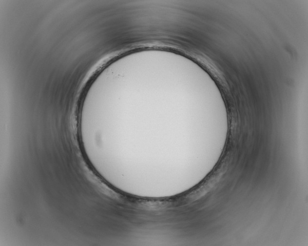 X0000113260950200909101247